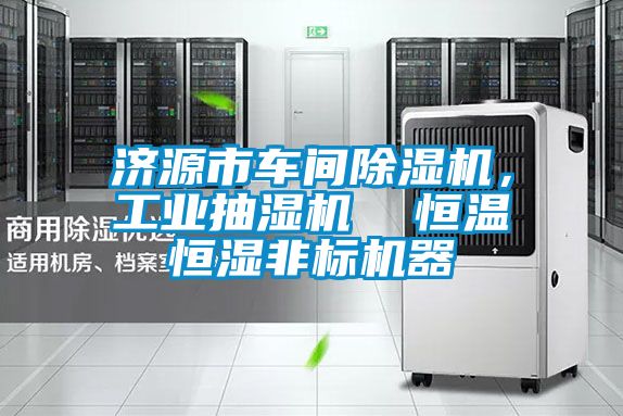 济源市车间麻豆视频黄网站，工业抽湿机  恒温恒湿非标机器