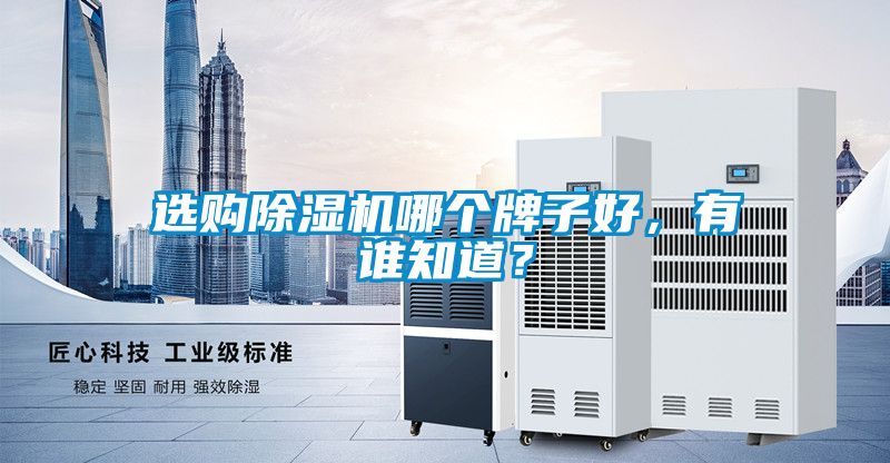选购麻豆视频黄网站哪个牌子好，有谁知道？