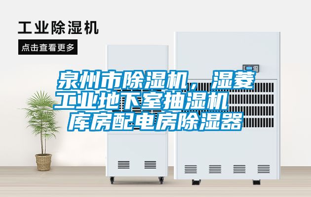 泉州市麻豆视频黄网站，湿菱工业地下室抽湿机  库房配电房除湿器