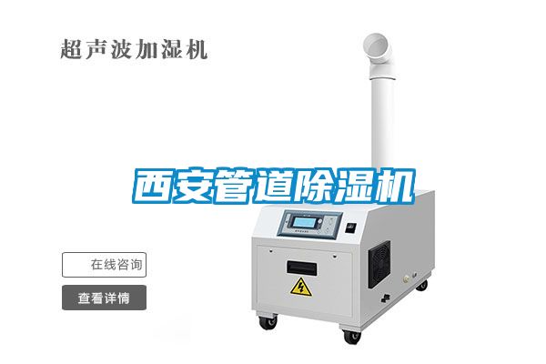 西安管道麻豆视频黄网站