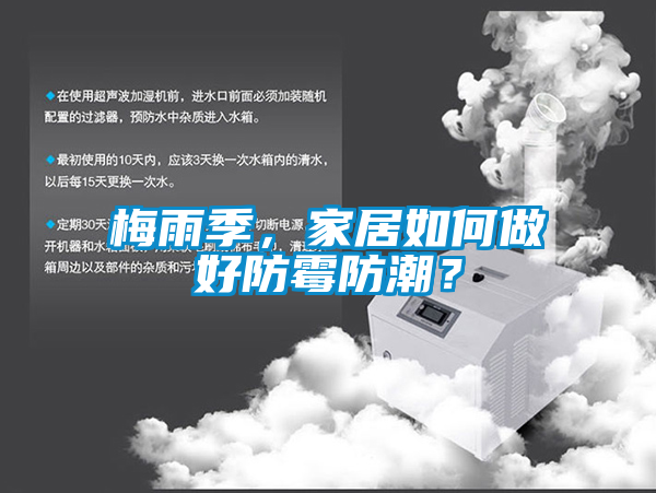 梅雨季，家居如何做好防霉防潮？