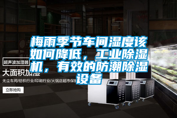 梅雨季节车间湿度该如何降低，工业麻豆视频黄网站，有效的防潮除湿设备