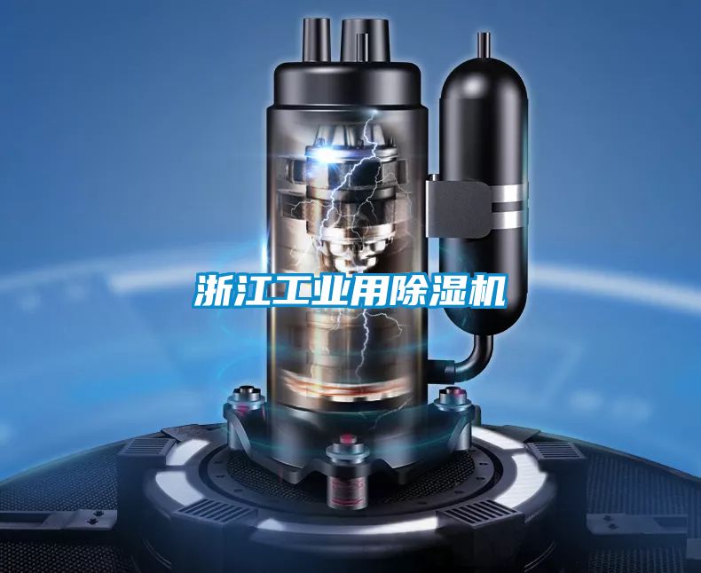 浙江工业用麻豆视频黄网站