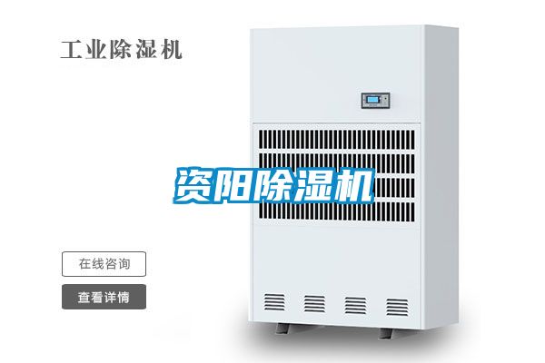 资阳麻豆视频黄网站