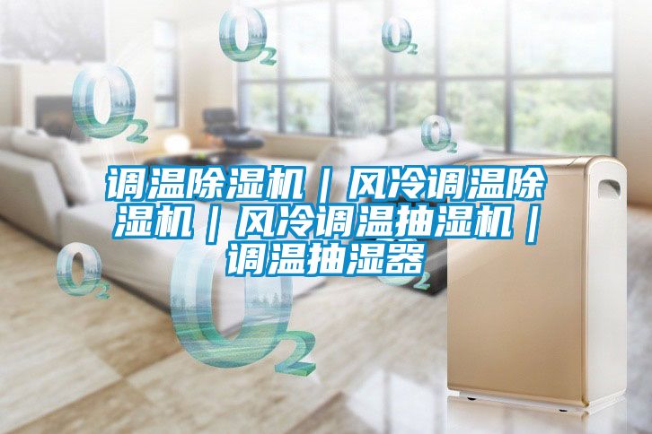 调温麻豆视频黄网站｜风冷调温麻豆视频黄网站｜风冷调温抽湿机｜调温抽湿器