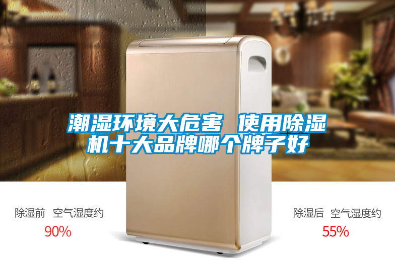 潮湿环境大危害 使用麻豆视频黄网站十大品牌哪个牌子好
