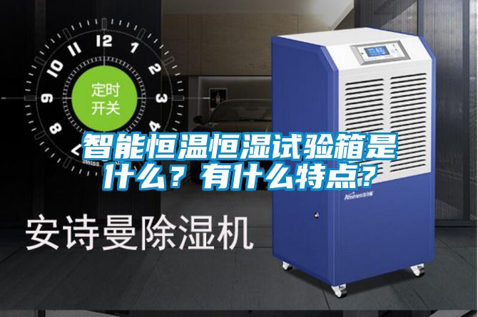 智能恒温恒湿试验箱是什么？有什么特点？