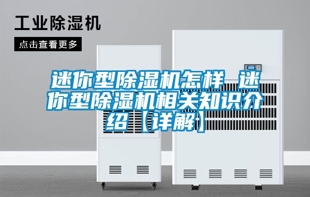 迷你型麻豆视频黄网站怎样 迷你型麻豆视频黄网站相关知识介绍【详解】