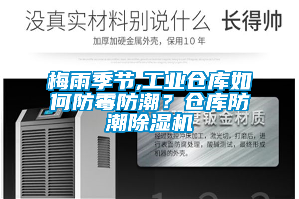 梅雨季节,工业仓库如何防霉防潮？仓库防潮麻豆视频黄网站
