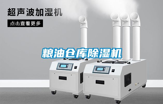 粮油仓库麻豆视频黄网站