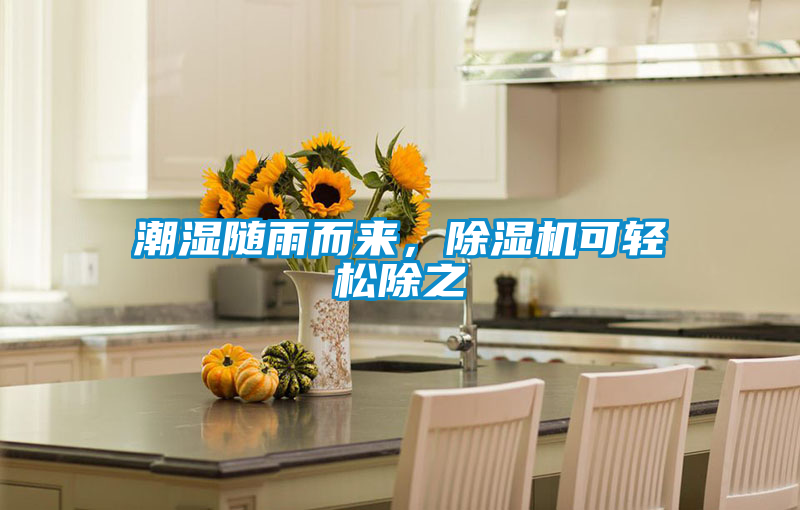 潮湿随雨而来，麻豆视频黄网站可轻松除之