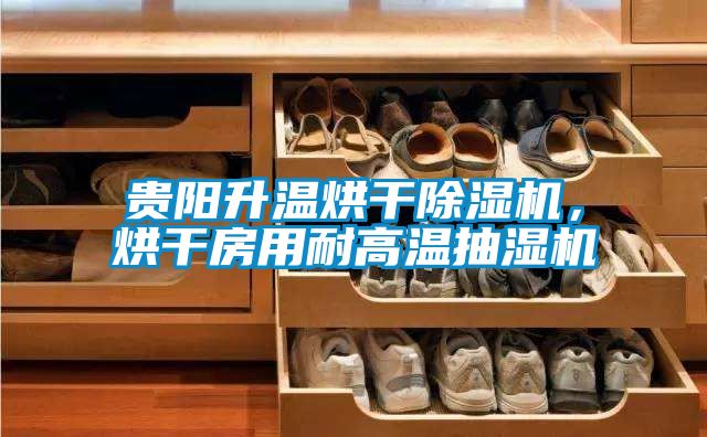 贵阳升温烘干麻豆视频黄网站，烘干房用耐高温抽湿机