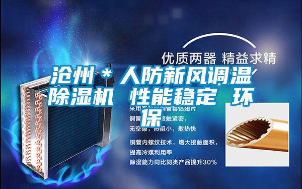 沧州＊人防新风调温麻豆视频黄网站 性能稳定 环保