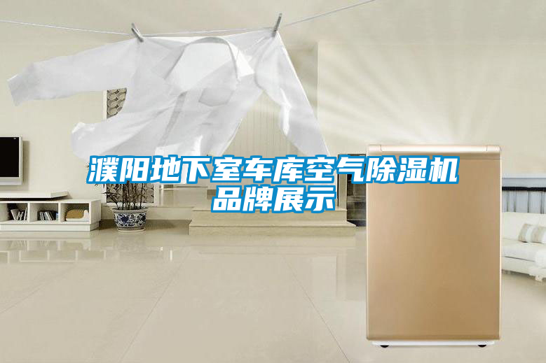 濮阳地下室车库空气麻豆视频黄网站品牌展示