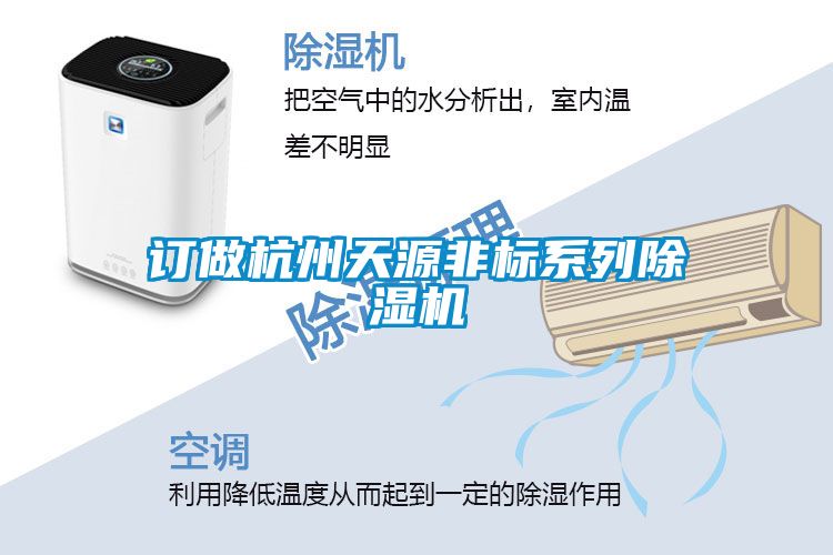 订做杭州天源非标系列麻豆视频黄网站