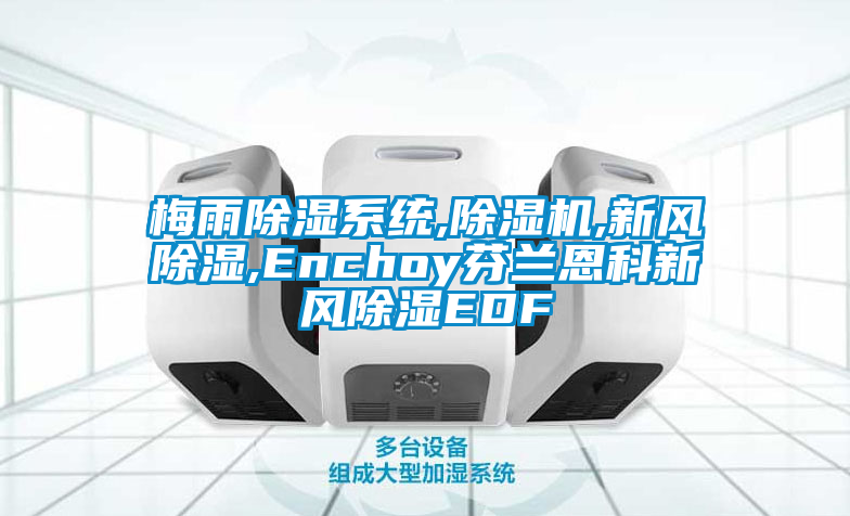 梅雨除湿系统,麻豆视频黄网站,新风除湿,Enchoy芬兰恩科新风除湿EDF