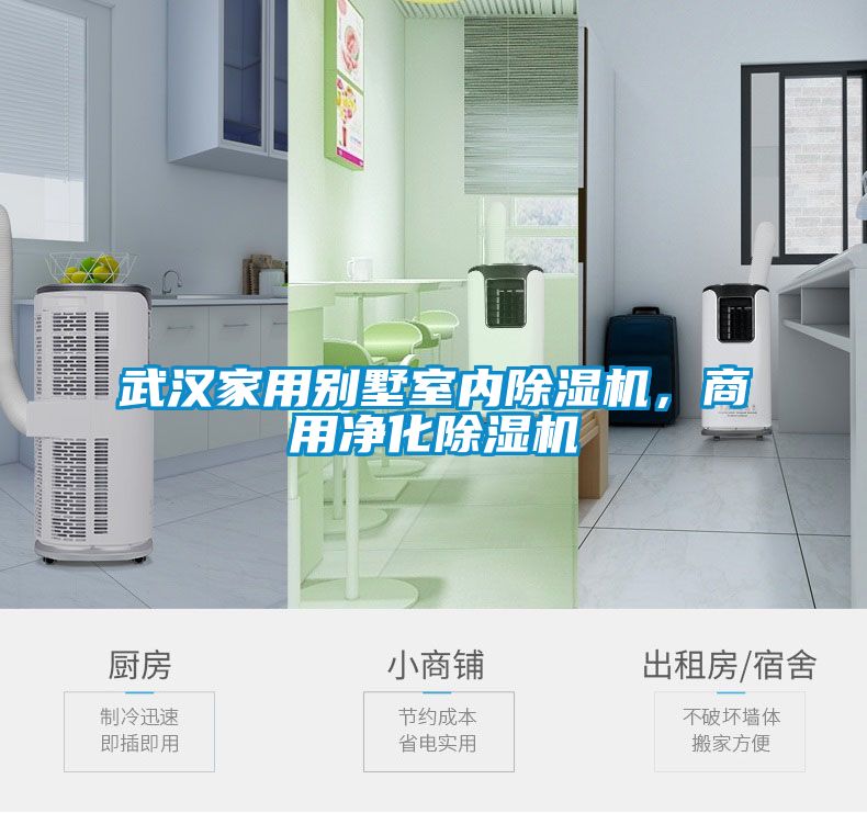 武汉家用别墅室内麻豆视频黄网站，商用净化麻豆视频黄网站