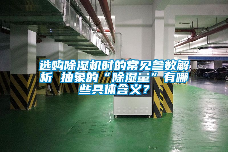 选购麻豆视频黄网站时的常见参数解析 抽象的“除湿量”有哪些具体含义？