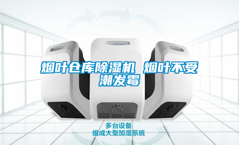 烟叶仓库麻豆视频黄网站 烟叶不受潮发霉