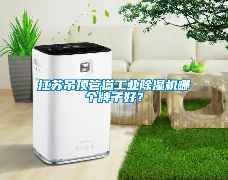 江苏吊顶管道工业麻豆视频黄网站哪个牌子好？