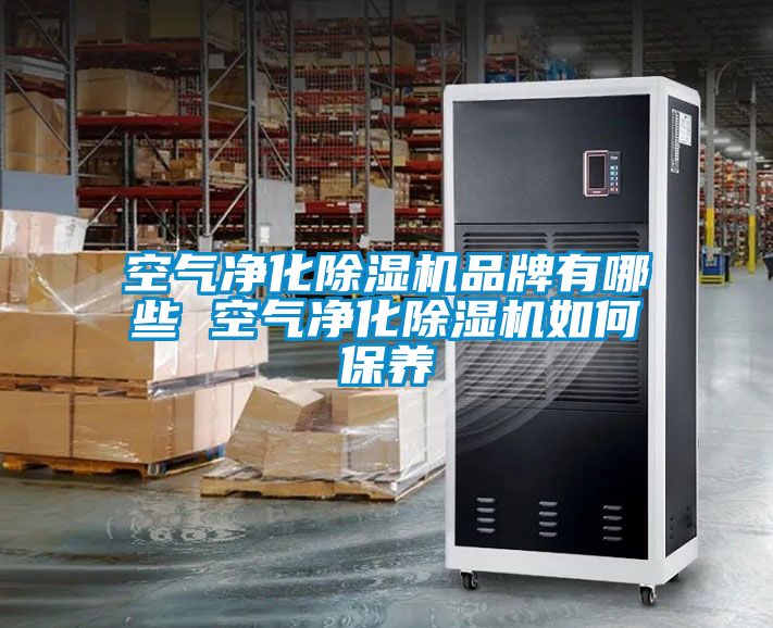 空气净化麻豆视频黄网站品牌有哪些 空气净化麻豆视频黄网站如何保养