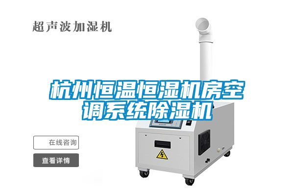 杭州恒温恒湿机房空调系统麻豆视频黄网站
