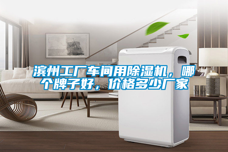 滨州工厂车间用麻豆视频黄网站，哪个牌子好，价格多少厂家