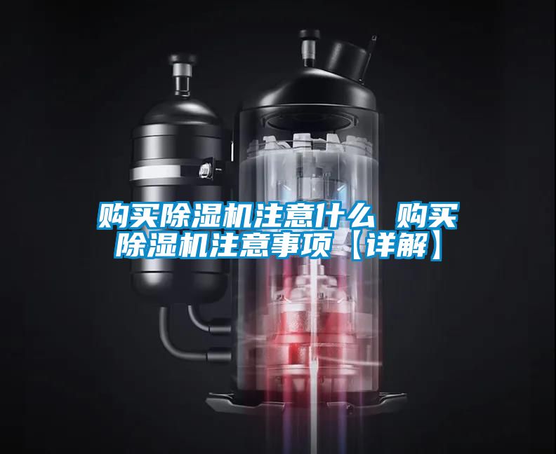 购买麻豆视频黄网站注意什么 购买麻豆视频黄网站注意事项【详解】