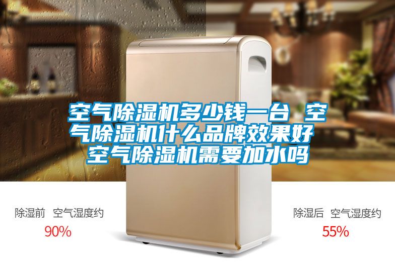 空气麻豆视频黄网站多少钱一台 空气麻豆视频黄网站什么品牌效果好 空气麻豆视频黄网站需要加水吗