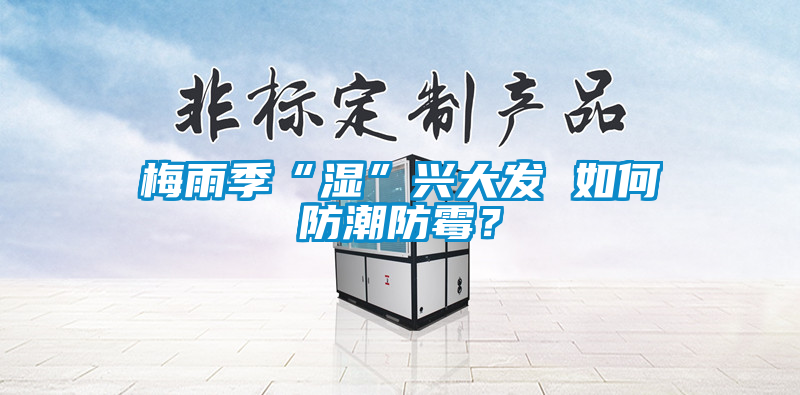梅雨季“湿”兴大发 如何防潮防霉？