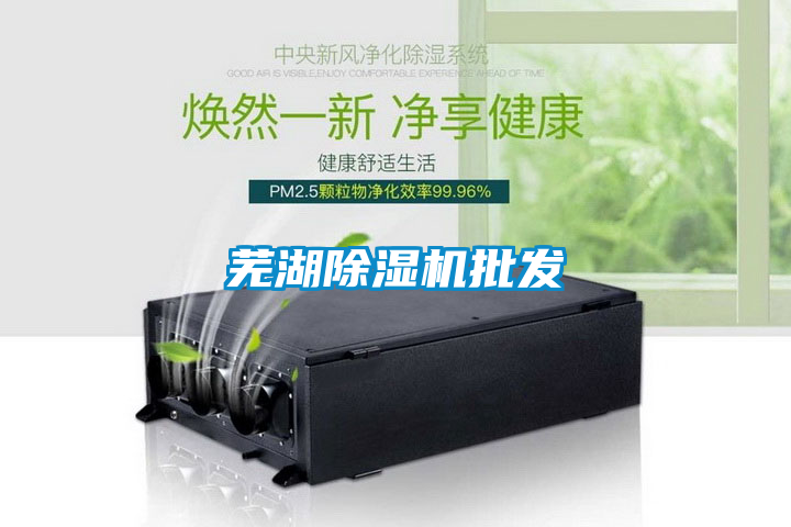 芜湖麻豆视频黄网站批发