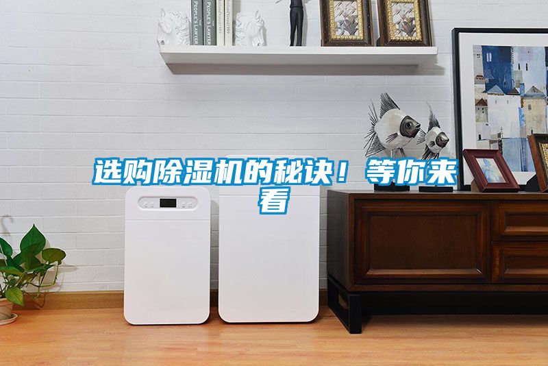 选购麻豆视频黄网站的秘诀！等你来看