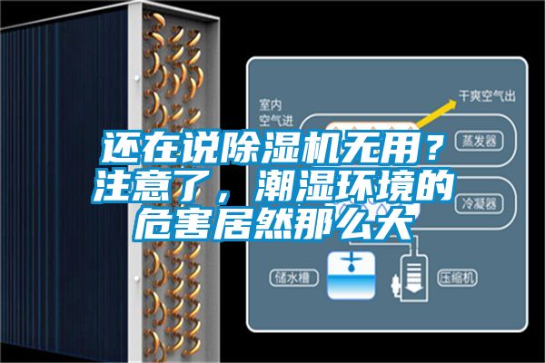 还在说麻豆视频黄网站无用？注意了，潮湿环境的危害居然那么大