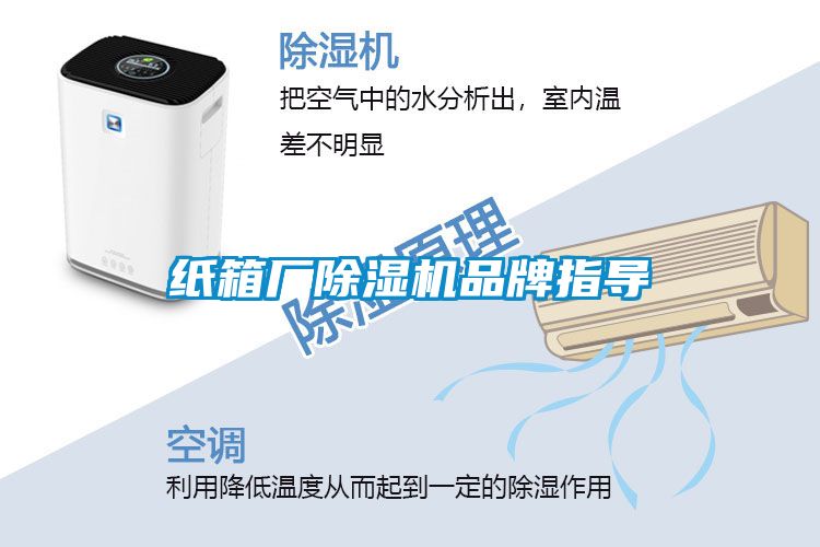 纸箱厂麻豆视频黄网站品牌指导