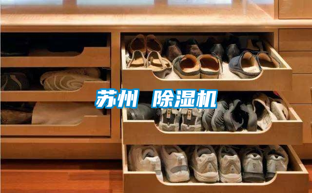 苏州 麻豆视频黄网站