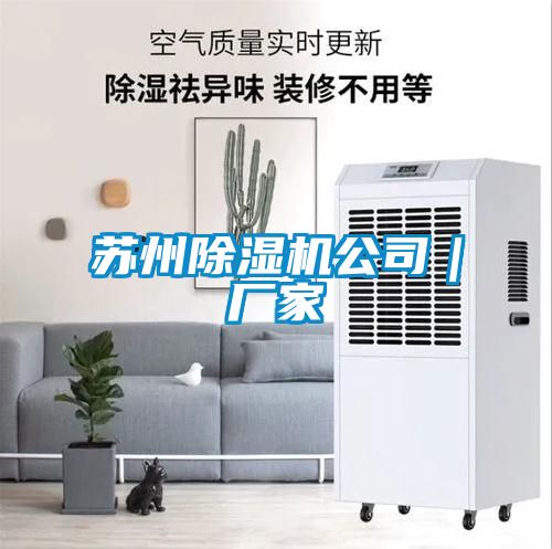 苏州麻豆视频黄网站公司｜厂家