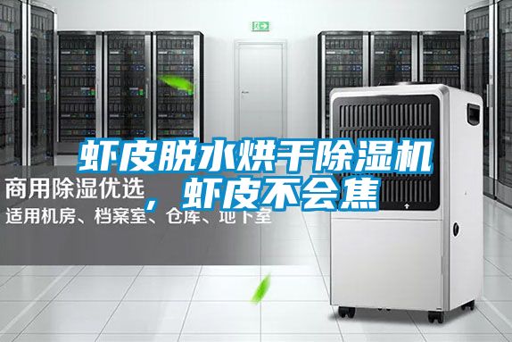 虾皮脱水烘干麻豆视频黄网站，虾皮不会焦