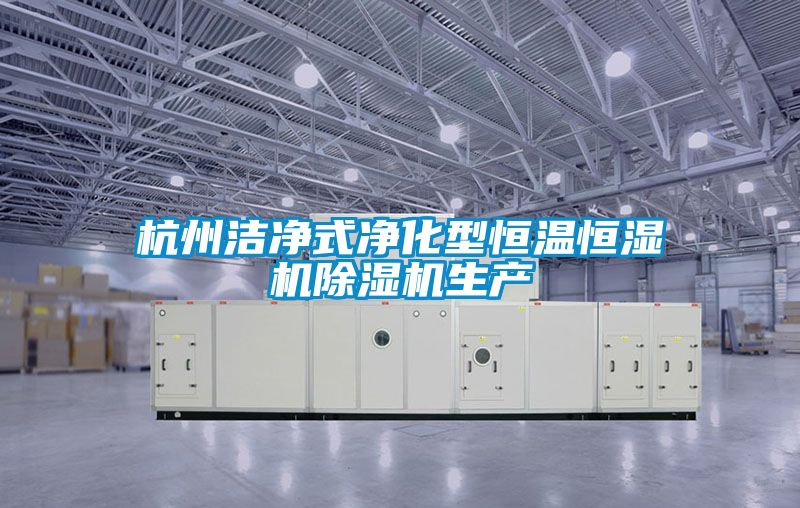 杭州洁净式净化型恒温恒湿机麻豆视频黄网站生产
