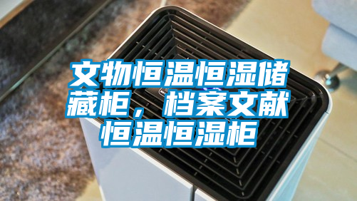 文物恒温恒湿储藏柜，档案文献恒温恒湿柜