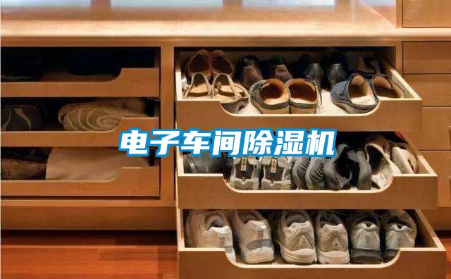 电子车间麻豆视频黄网站