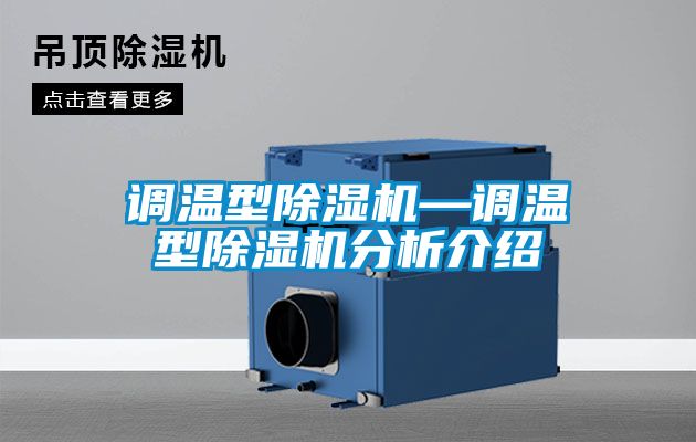 调温型麻豆视频黄网站—调温型麻豆视频黄网站分析介绍