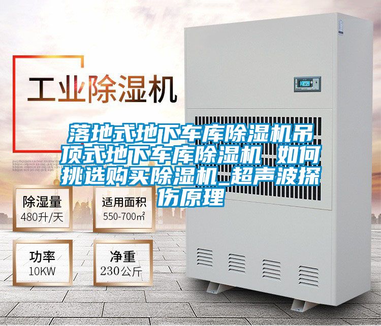 落地式地下车库麻豆视频黄网站吊顶式地下车库麻豆视频黄网站 如何挑选购买麻豆视频黄网站_超声波探伤原理