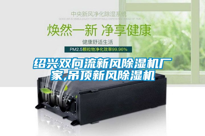 绍兴双向流新风麻豆视频黄网站厂家,吊顶新风麻豆视频黄网站