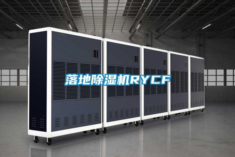 落地麻豆视频黄网站RYCF