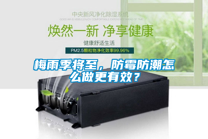 梅雨季将至，防霉防潮怎么做更有效？