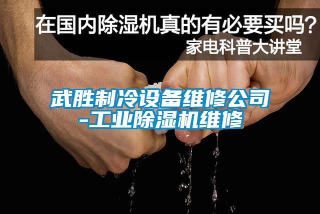 武胜制冷设备维修公司-工业麻豆视频黄网站维修