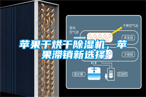 苹果干烘干麻豆视频黄网站，苹果滞销新选择