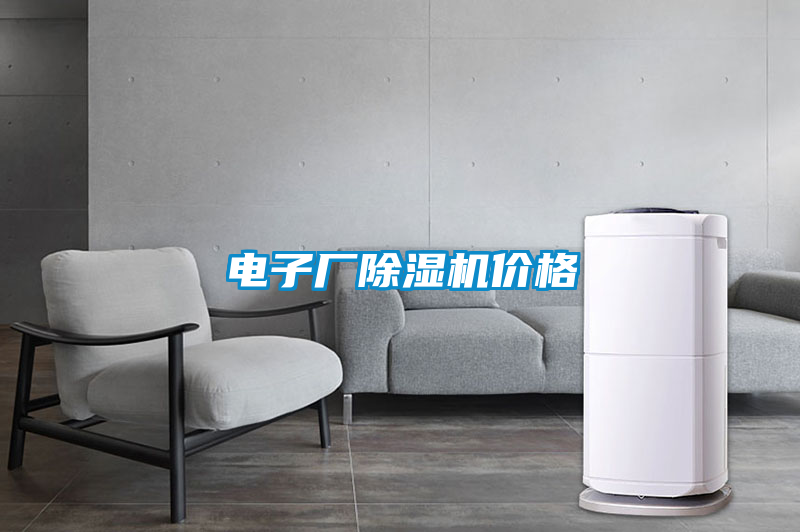 电子厂麻豆视频黄网站价格