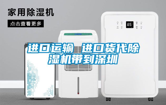 进口运输 进口货代麻豆视频黄网站带到深圳