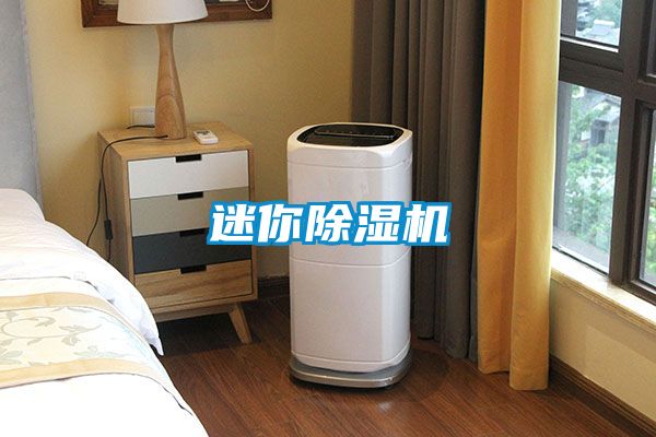 迷你麻豆视频黄网站